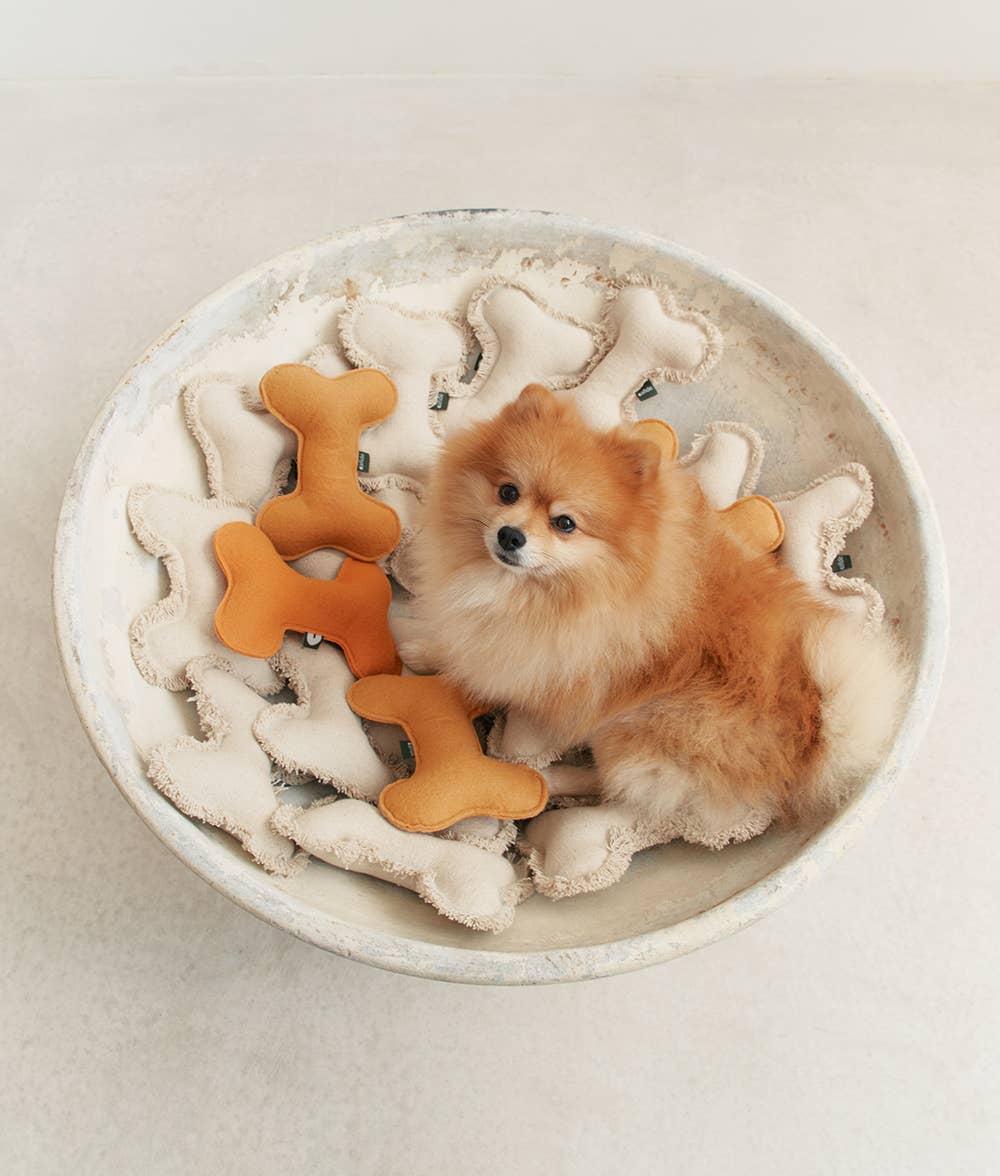 A small Pomeranian resting in a soft, neutral-toned bed surrounded by CAFIDE White Bone Dog Toy, Fleky and other plush bone toys, showcasing its cozy and pet-friendly design.