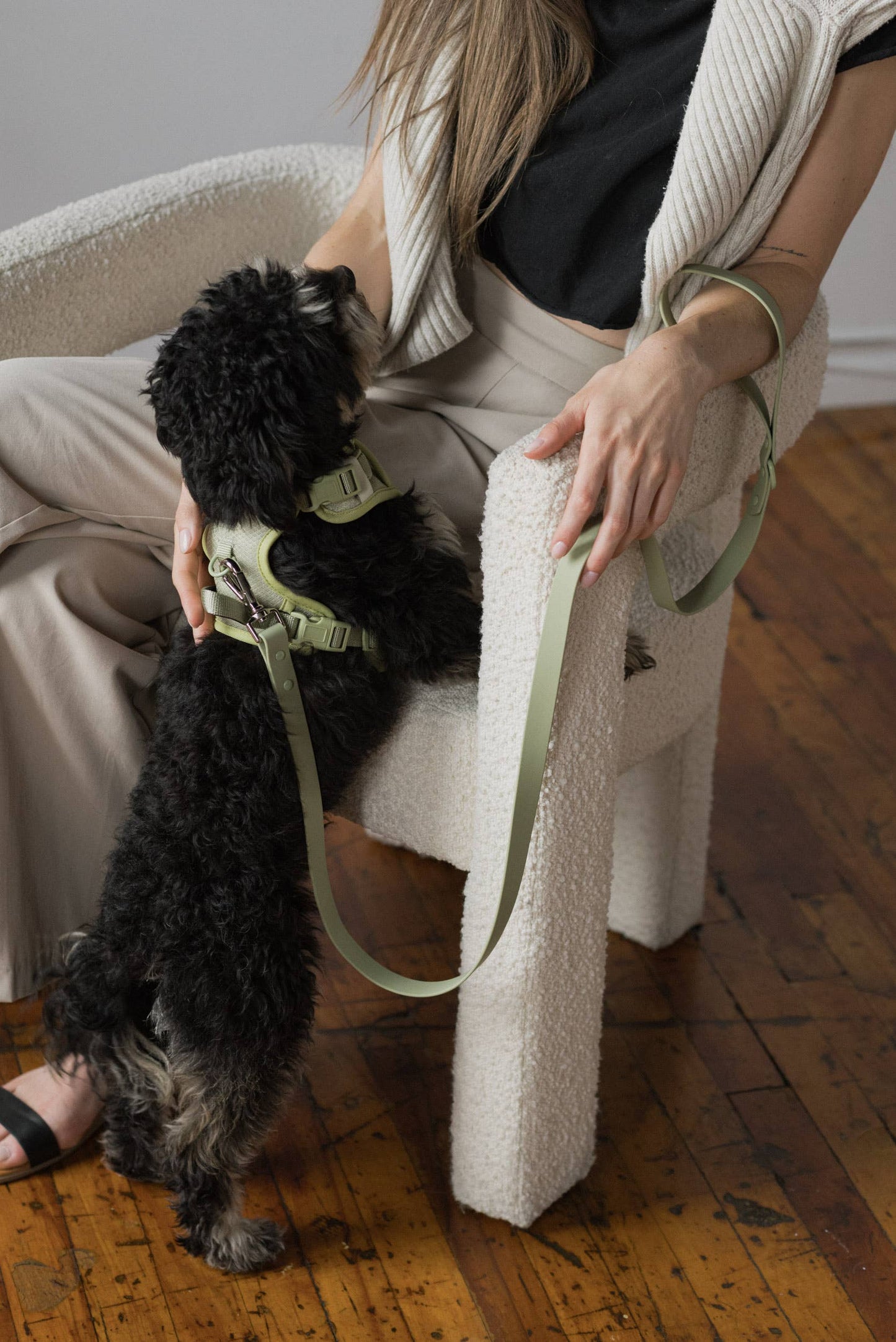 Close-up of a person adjusting the Peachy Dogs Classic 2.0 Harness in Matcha on their dog, emphasising its customisable fit and sturdy design.