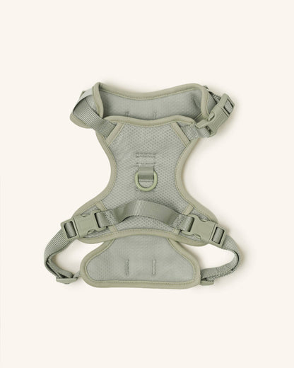 Back view of the Peachy Dogs Classic 2.0 Harness in Matcha green, showcasing the durable mesh fabric and reinforced stitching.
